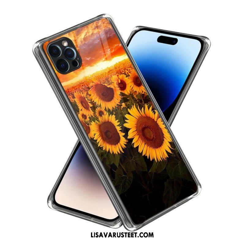 Case iPhone 14 Pro Max Auringonkukat