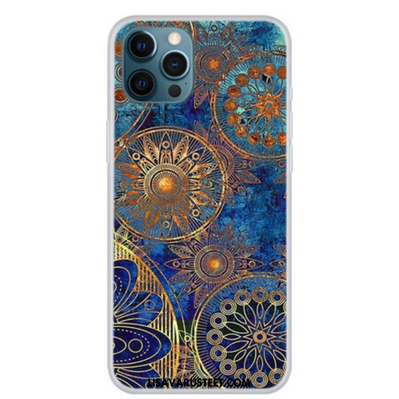 Kuori iPhone 13 Pro Arvokas Mandala